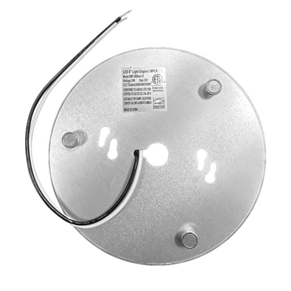 LED Light Engine - 20W