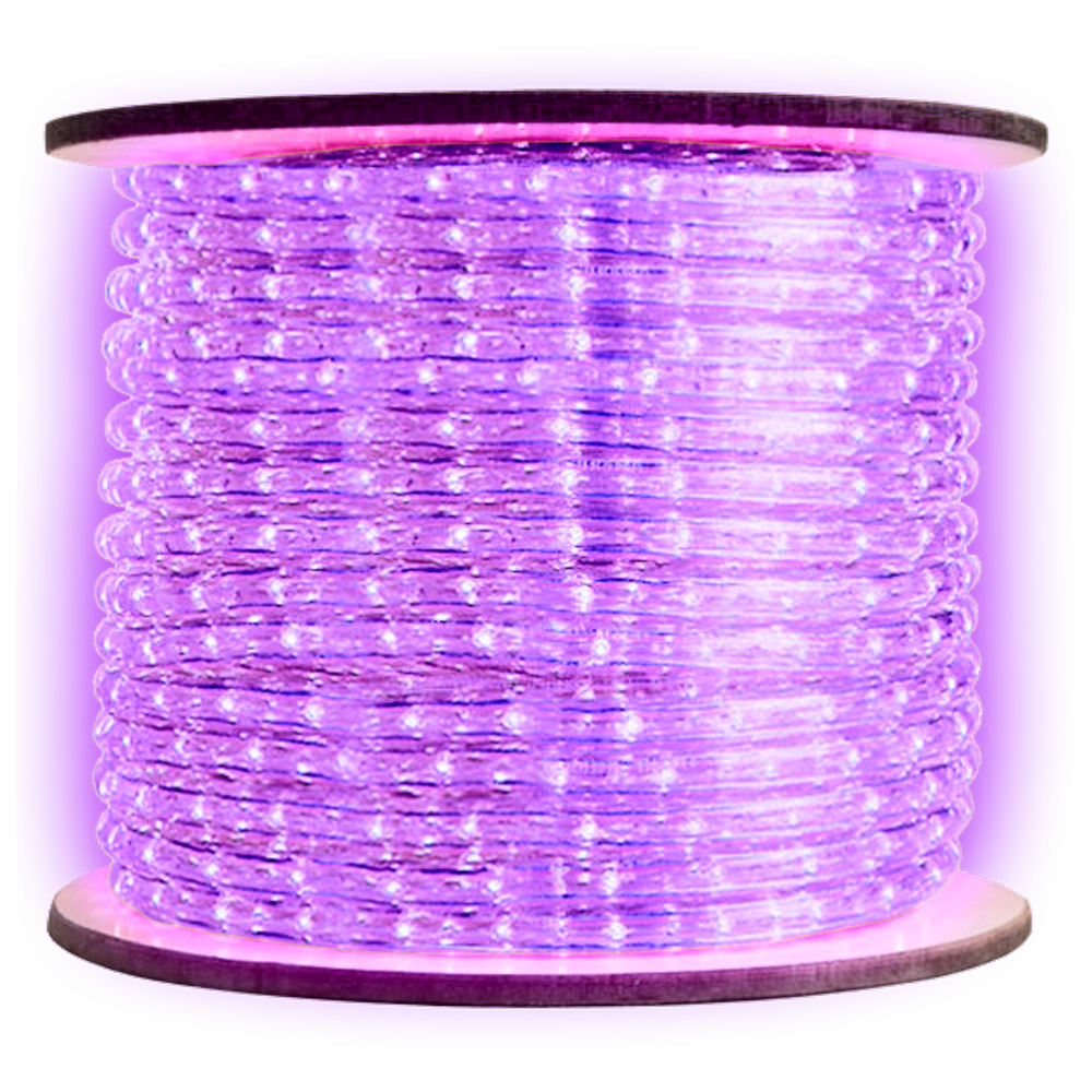 12V LED Rope Lights - RL100