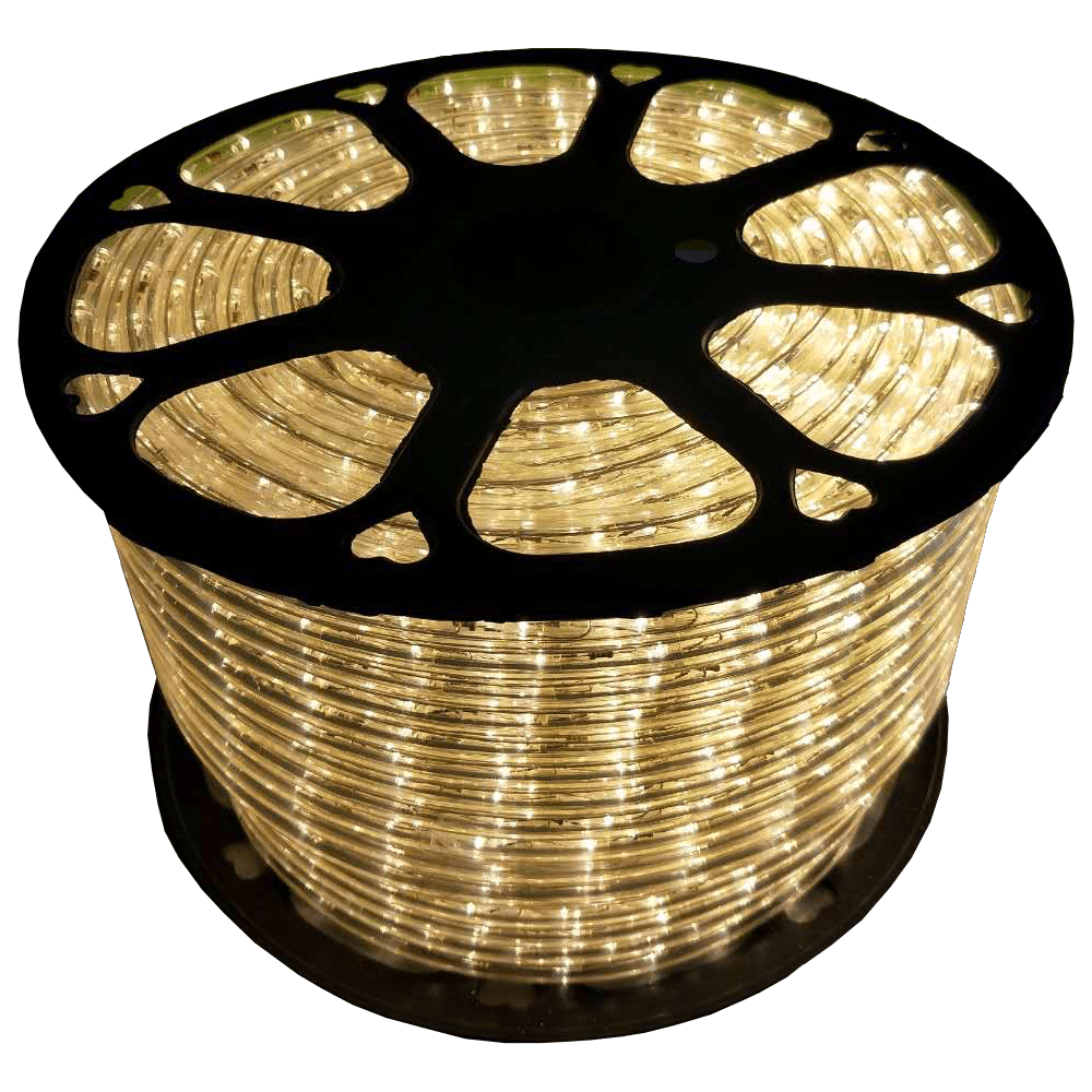 12V LED Rope Lights - RL100