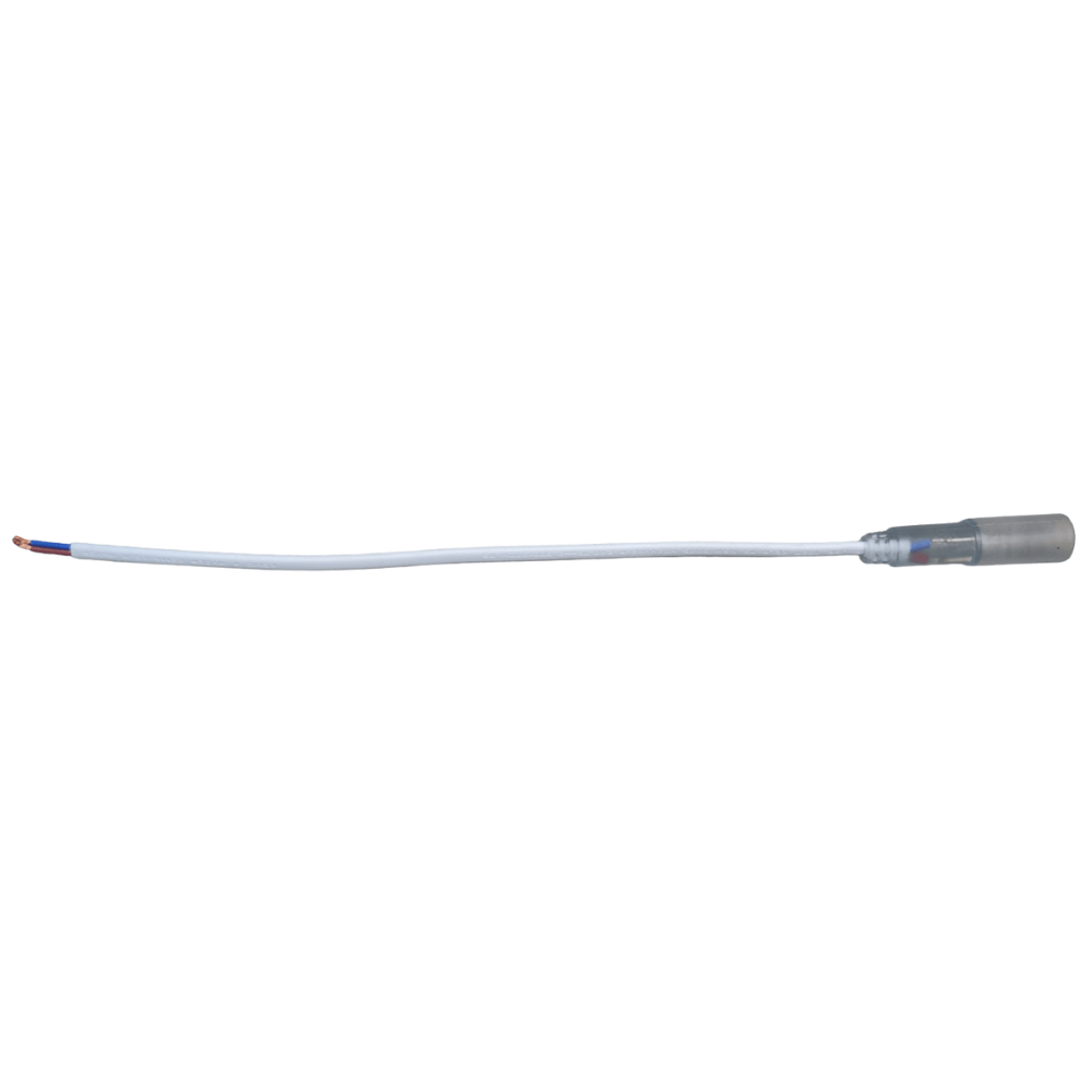 12V LED Rope Lights - RL100