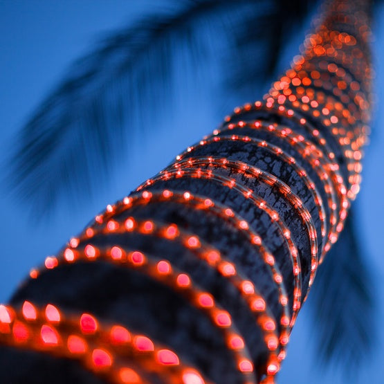 12V LED Rope Lights - RL100