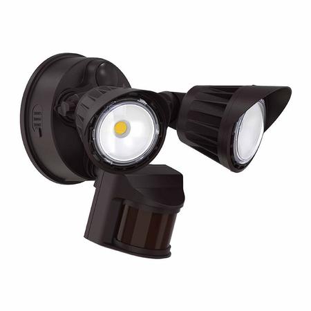 Double-Head Motion Flood Light