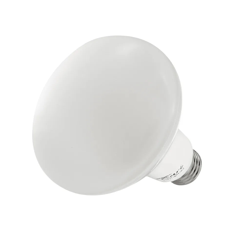 BR30 Lamp E26 Base Tunable CCT Mobile App Controlled