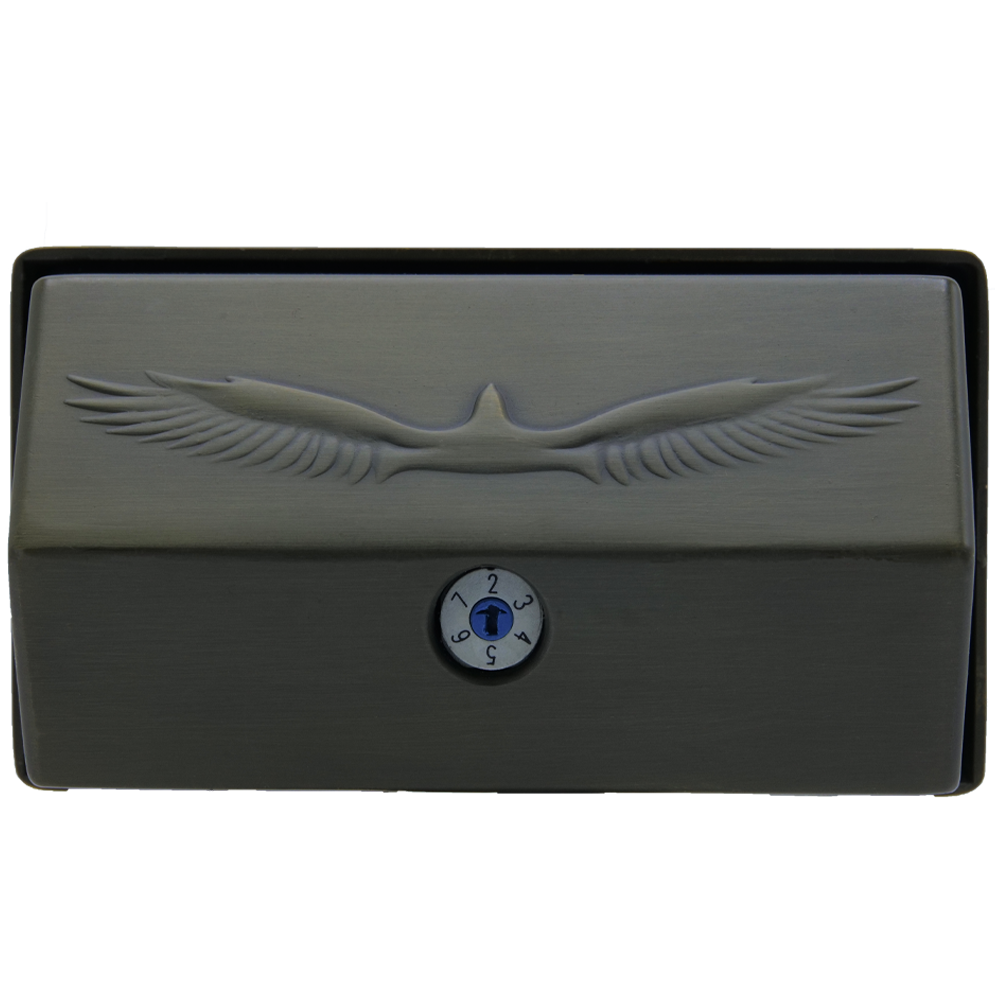 Integrated Brass Flood Light (Adjustable Wattage) - FPB02