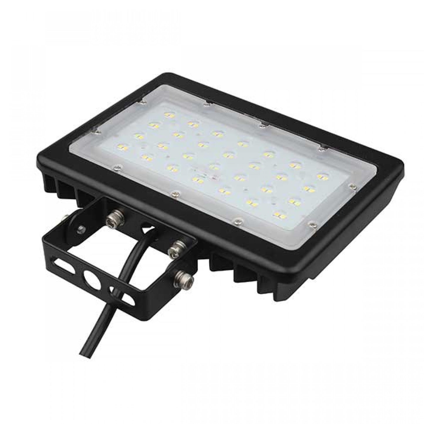 Flood Light 50W TRU
