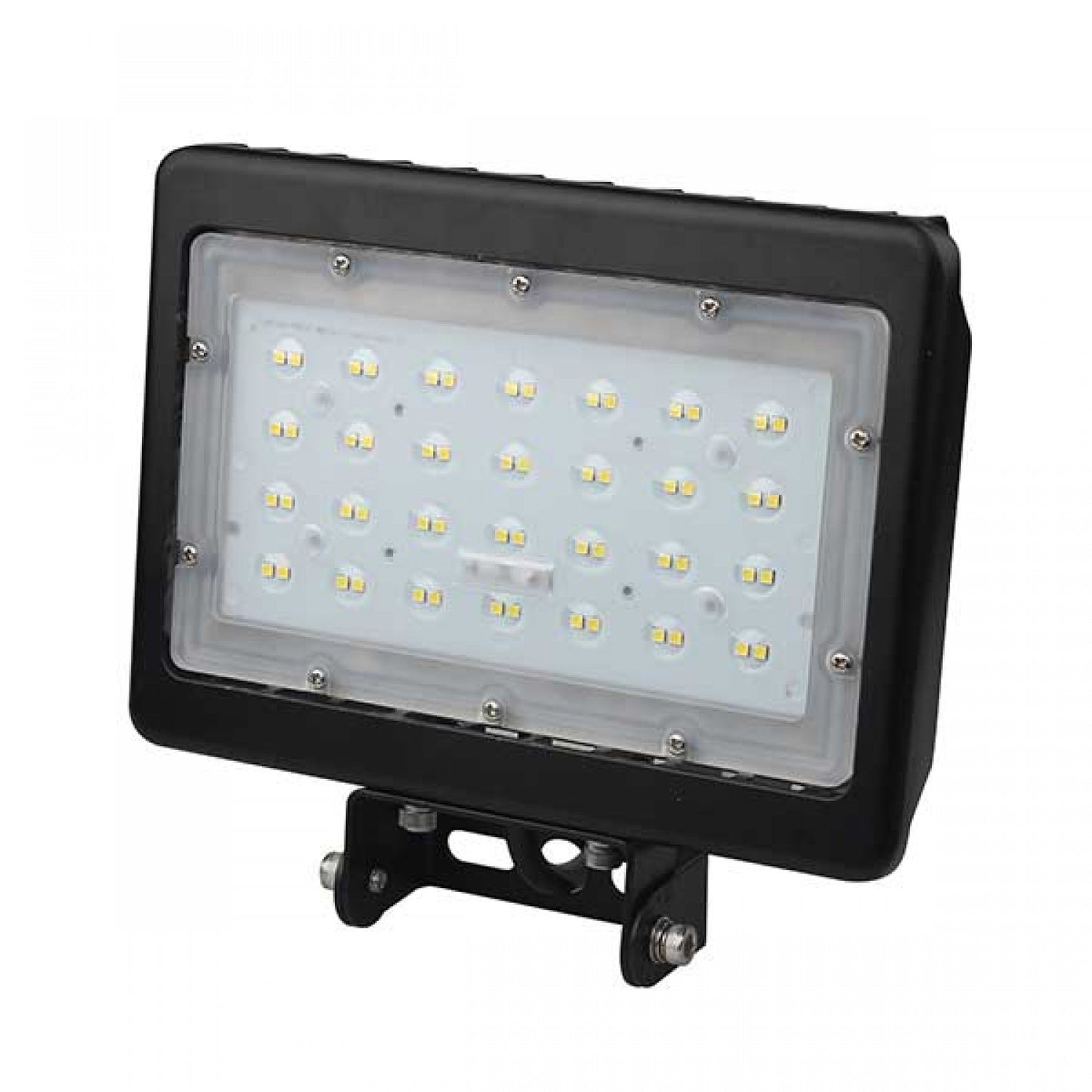 Flood Light 50W TRU