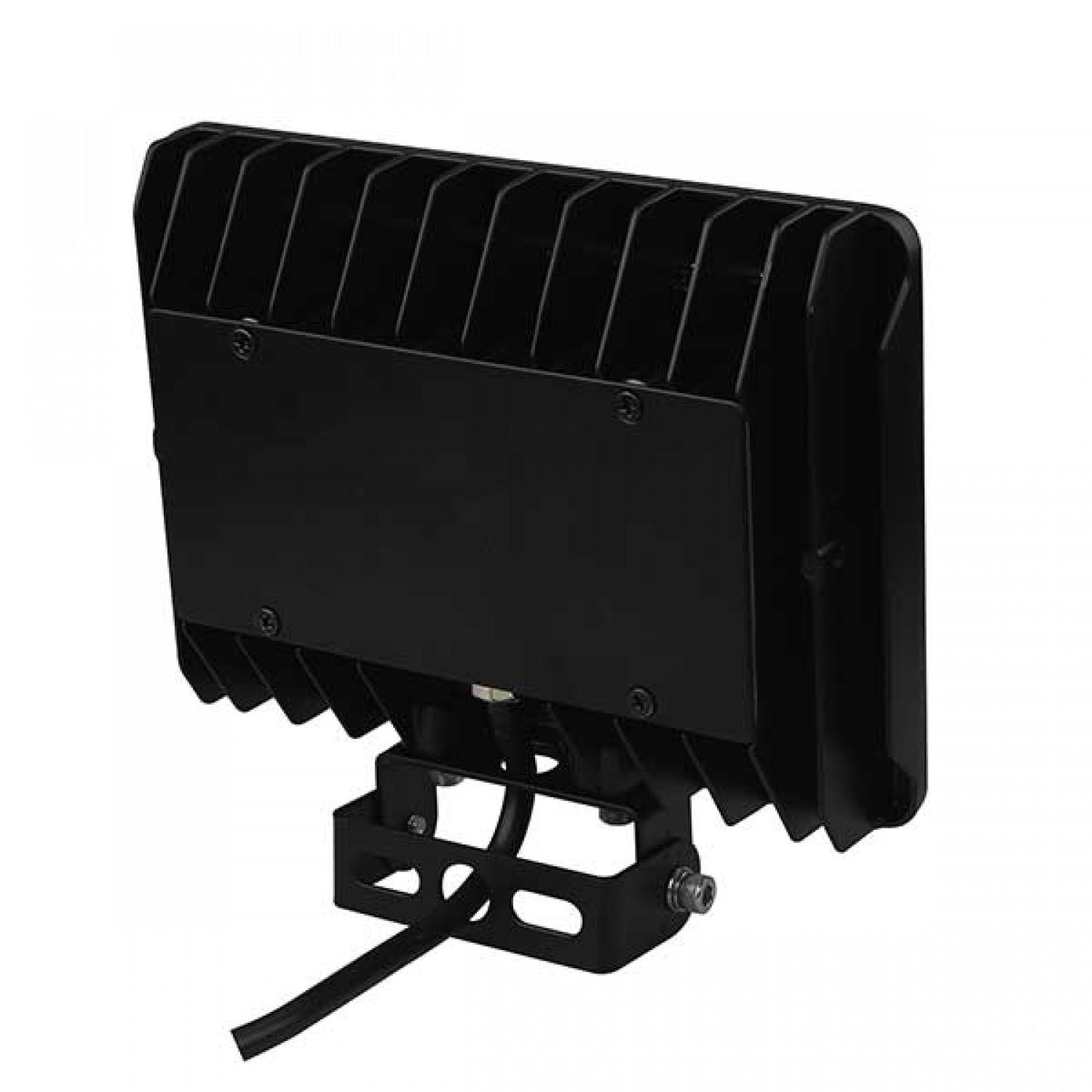 Flood Light 50W TRU