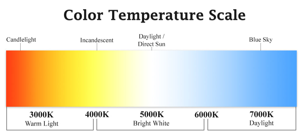 RGB +6500K LED COB Strip